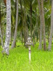 shrine in palm grove.JPG (100KB)